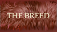 About the breed